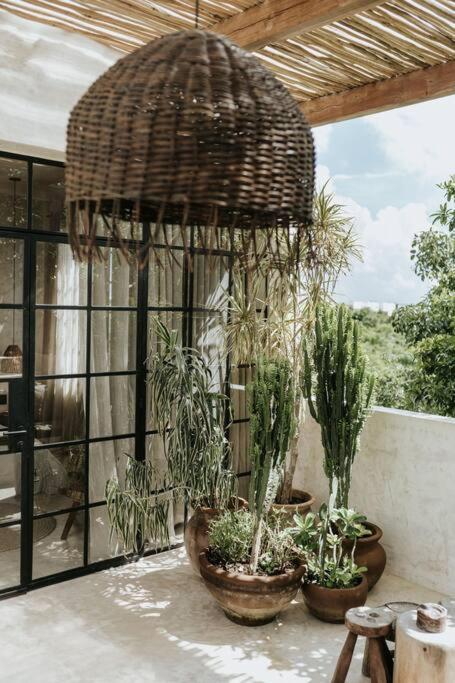 Piece-of-art-loft Between Jungle Trees Apartamento