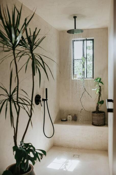 Piece-of-art-loft Between Jungle Trees Tulum