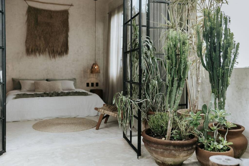 Piece-of-art-loft Between Jungle Trees *